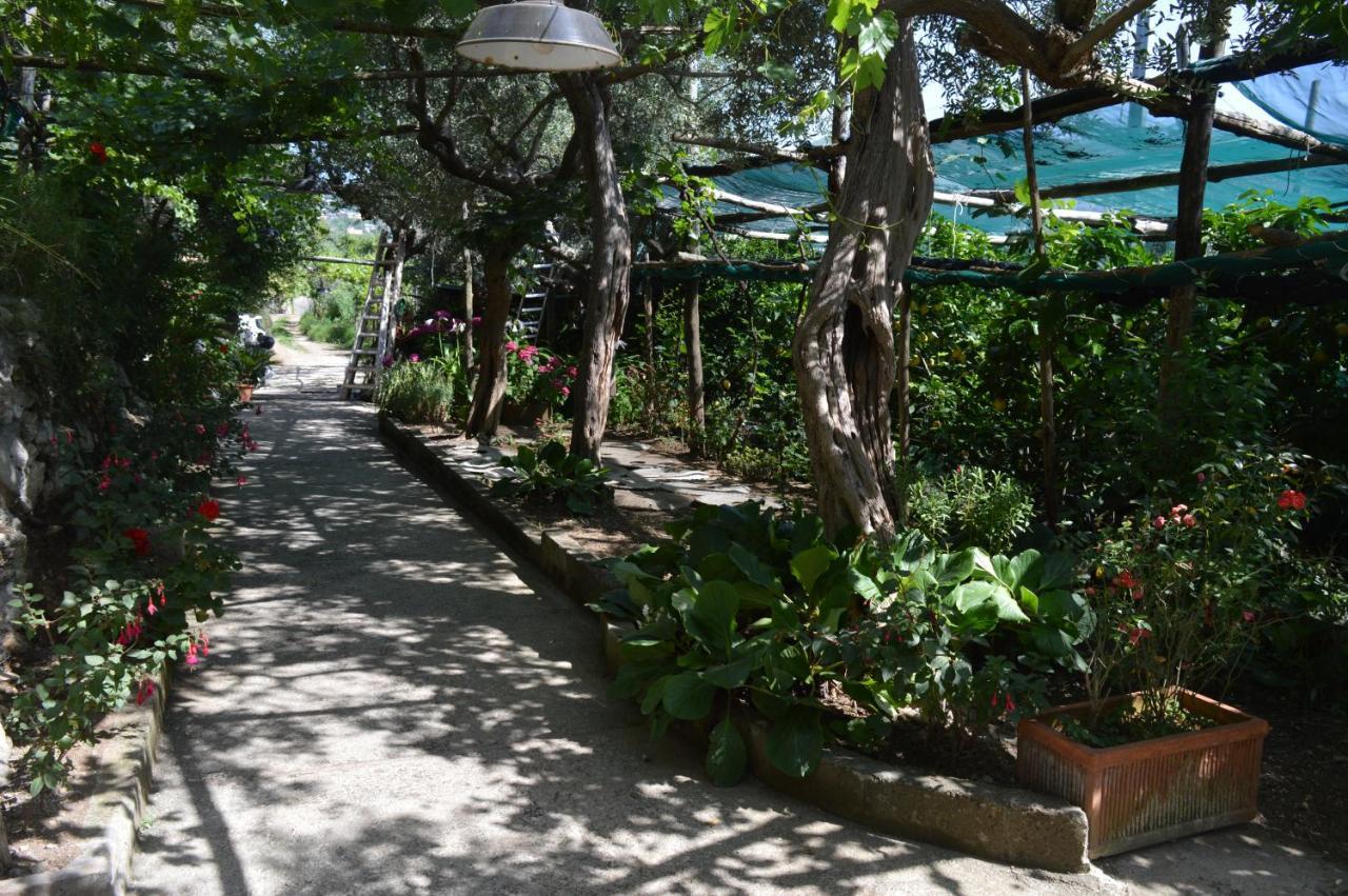 La Petra Villa Vico Equense Ngoại thất bức ảnh