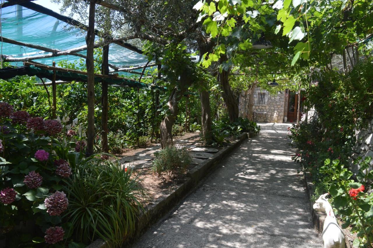 La Petra Villa Vico Equense Ngoại thất bức ảnh