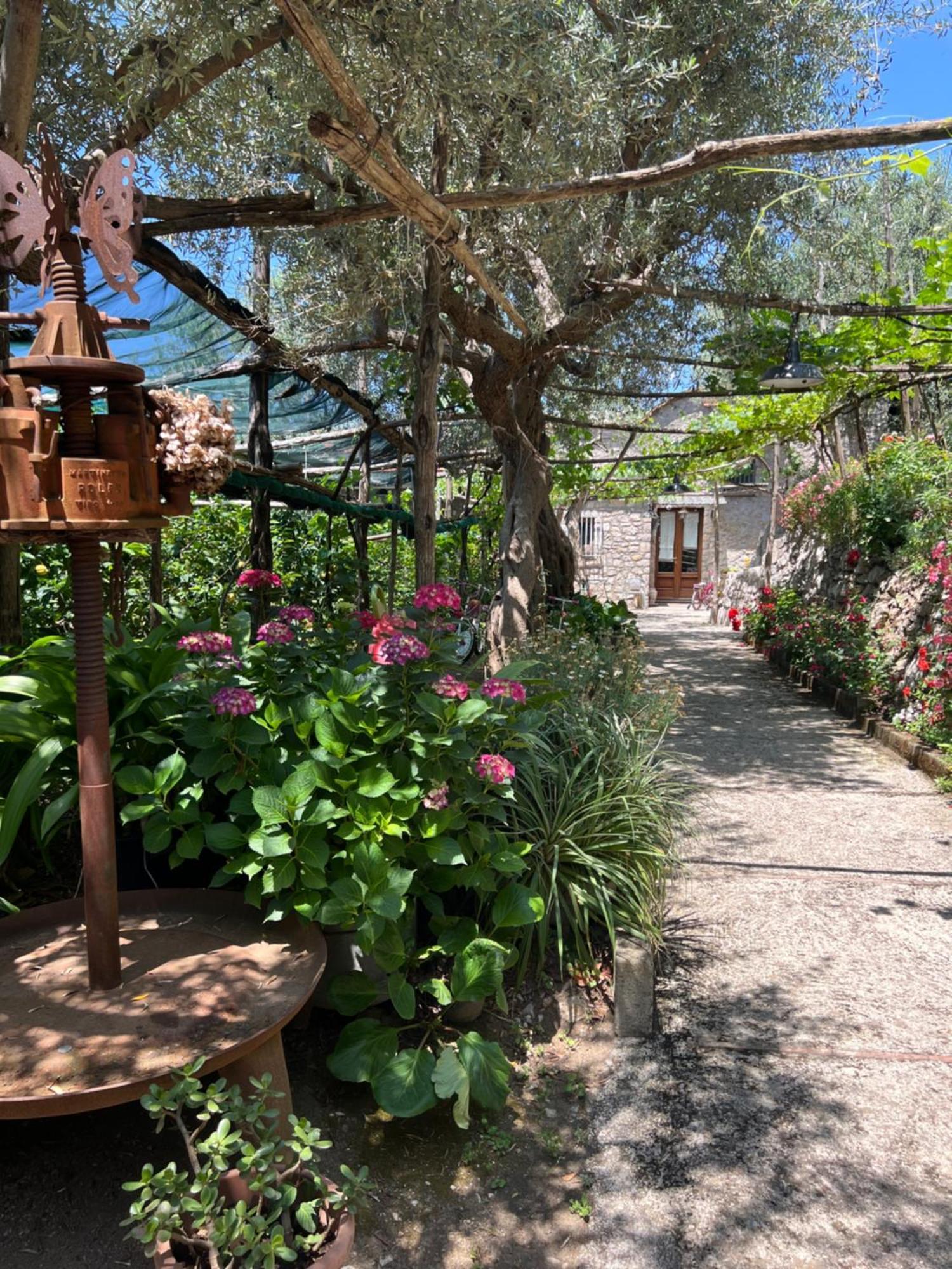 La Petra Villa Vico Equense Ngoại thất bức ảnh