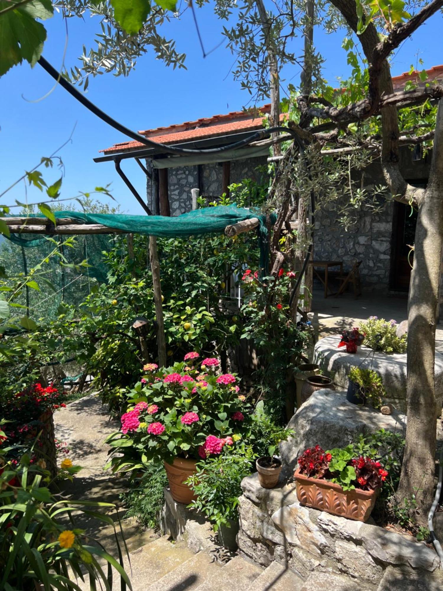 La Petra Villa Vico Equense Ngoại thất bức ảnh