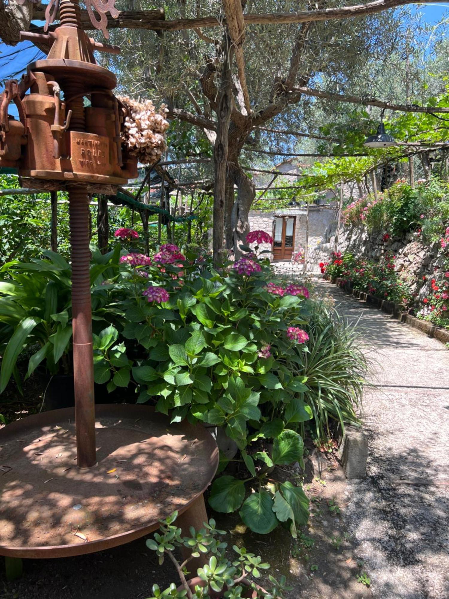 La Petra Villa Vico Equense Ngoại thất bức ảnh